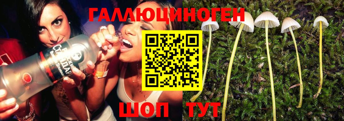 Псилоцибиновые грибы мухоморы  Вход с VPN  Кызыл  магазин продажи   Псилоцибиновые грибы мицелий 