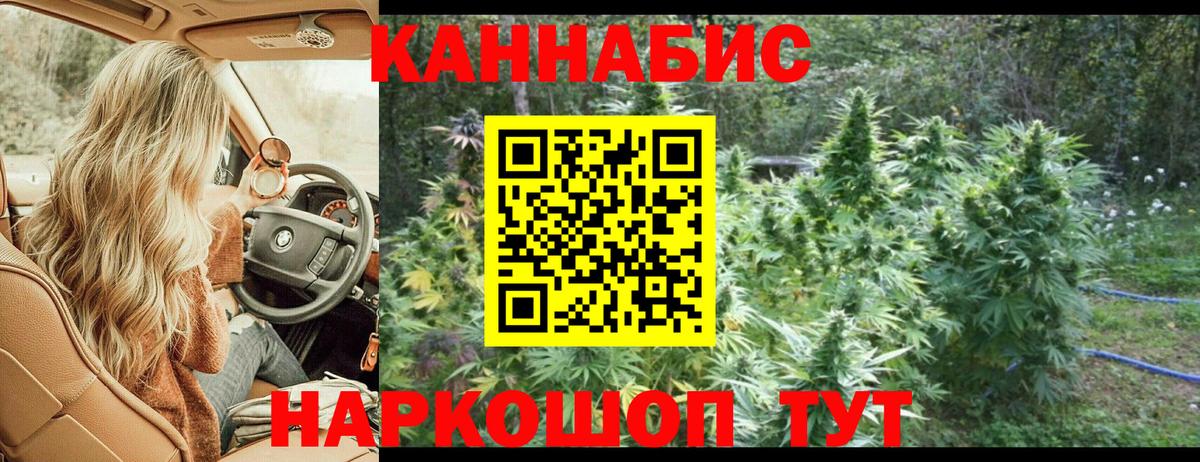 Канабис тримм  Вход с VPN  Кызыл  Конопля тримм  Бошки марихуана MAZAR 